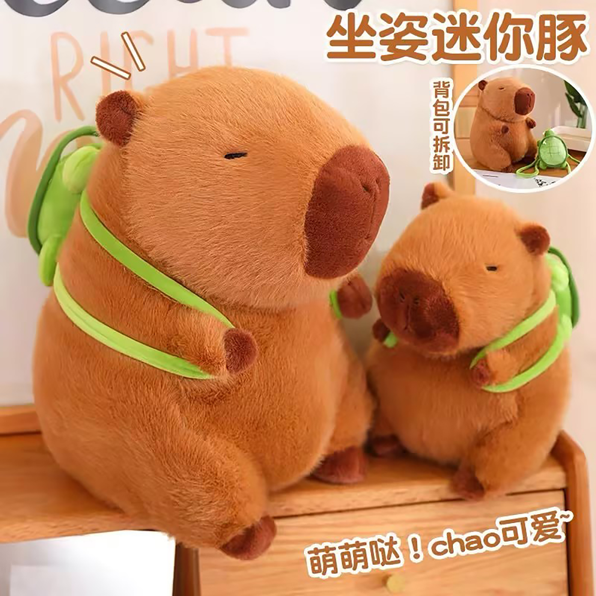 capybara-02.jpeg